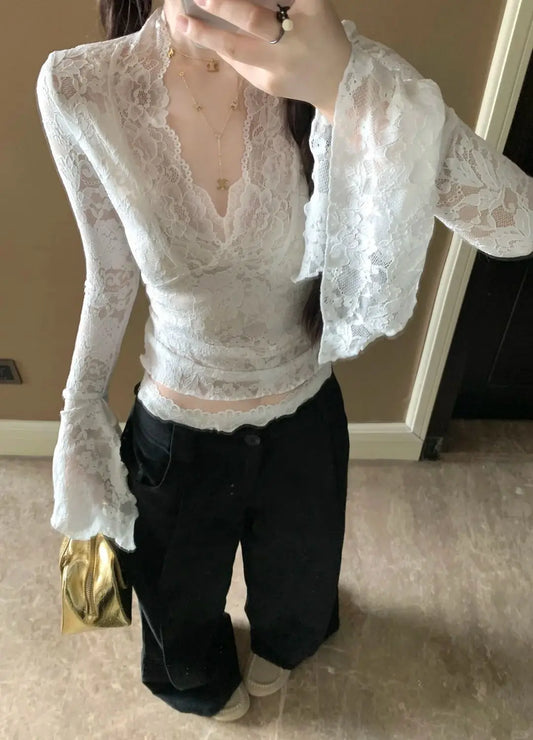 Sheer Lace Chic top